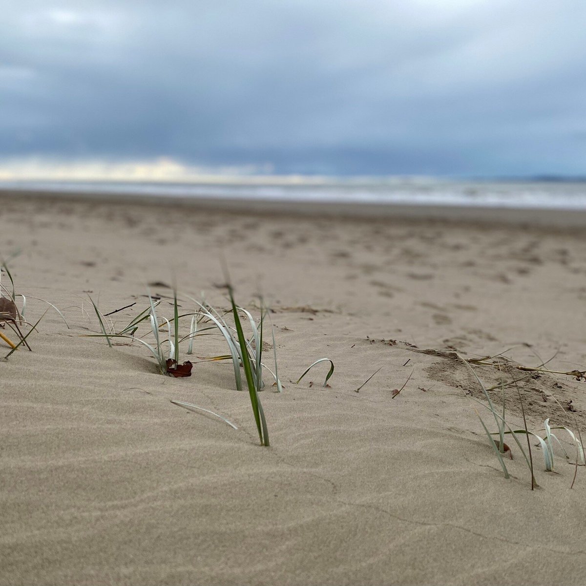 Farnborough Beach - All You Need to Know BEFORE You Go (2024)