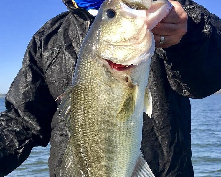 Pro Guide Bass Fishin