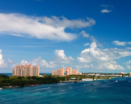 paradise island harbor cruise