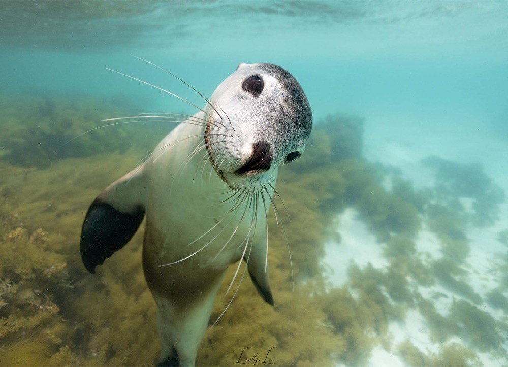 THE 15 BEST Things to Do in Jurien Bay (2024) - Must-See Attractions