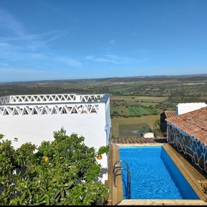 vue de notre jardin 