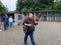 National Bird of Prey Centre - All You Need to Know BEFORE You Go (with  Photos)