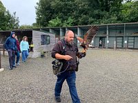 National Bird of Prey Centre - Wicklow County Tourism