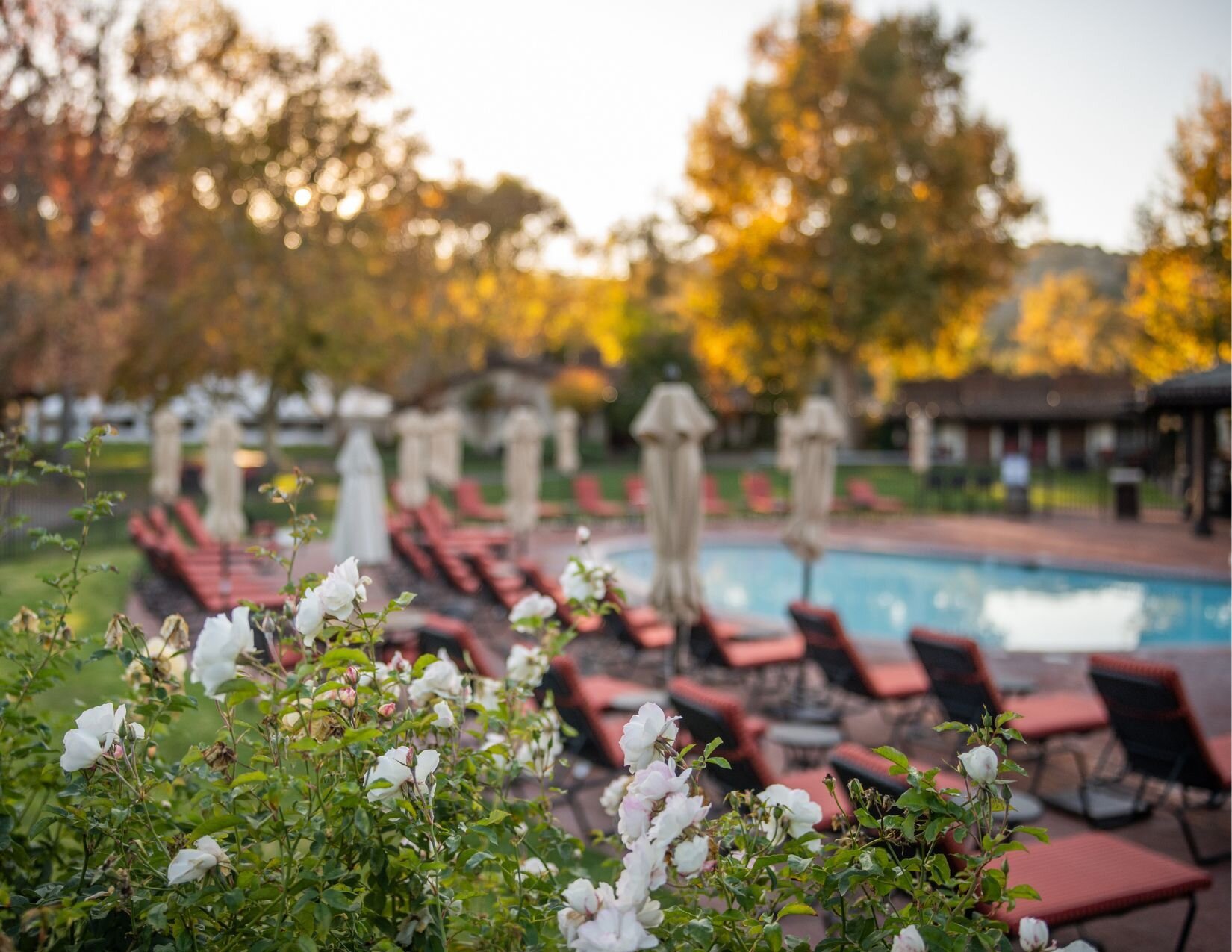 Alisal Ranch by null