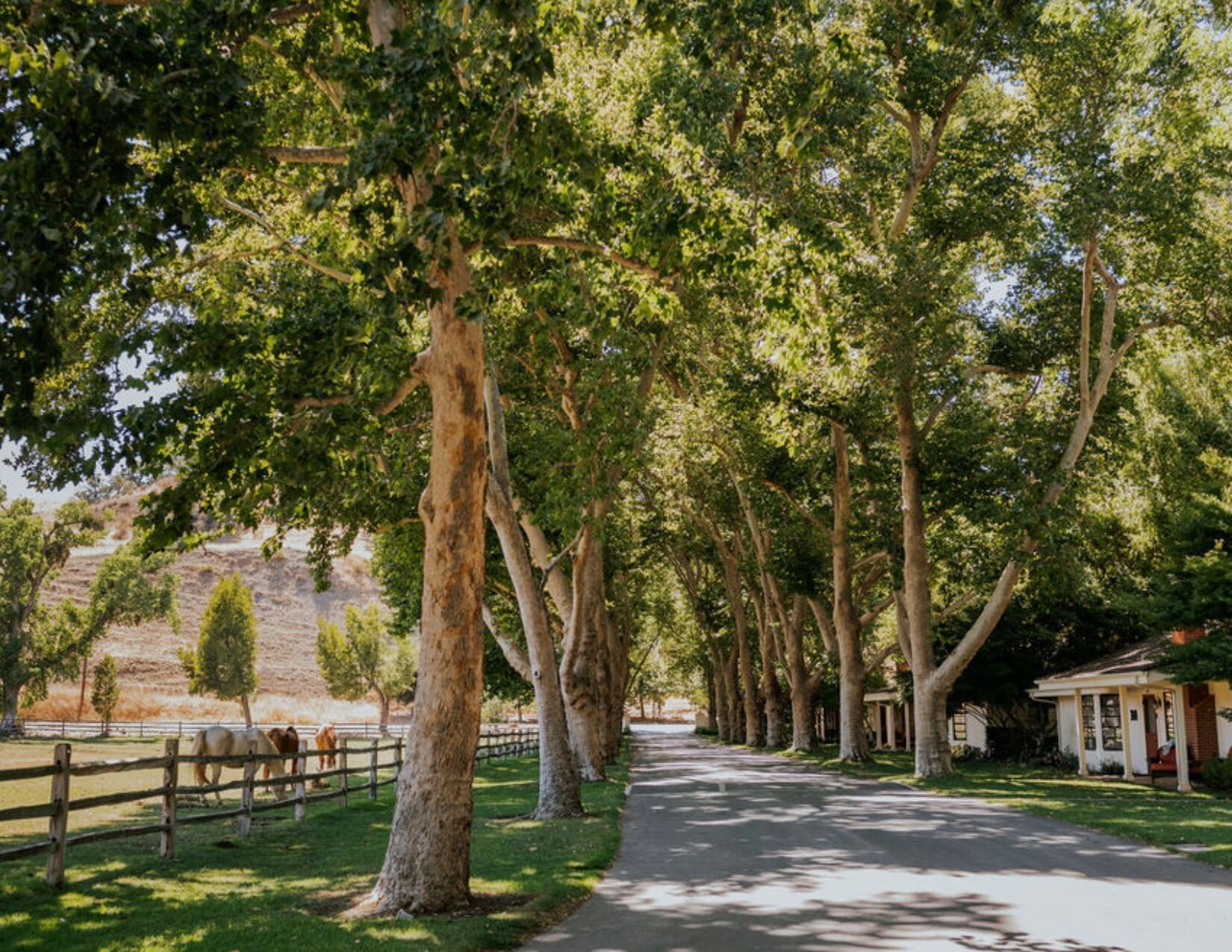 Alisal Ranch by null