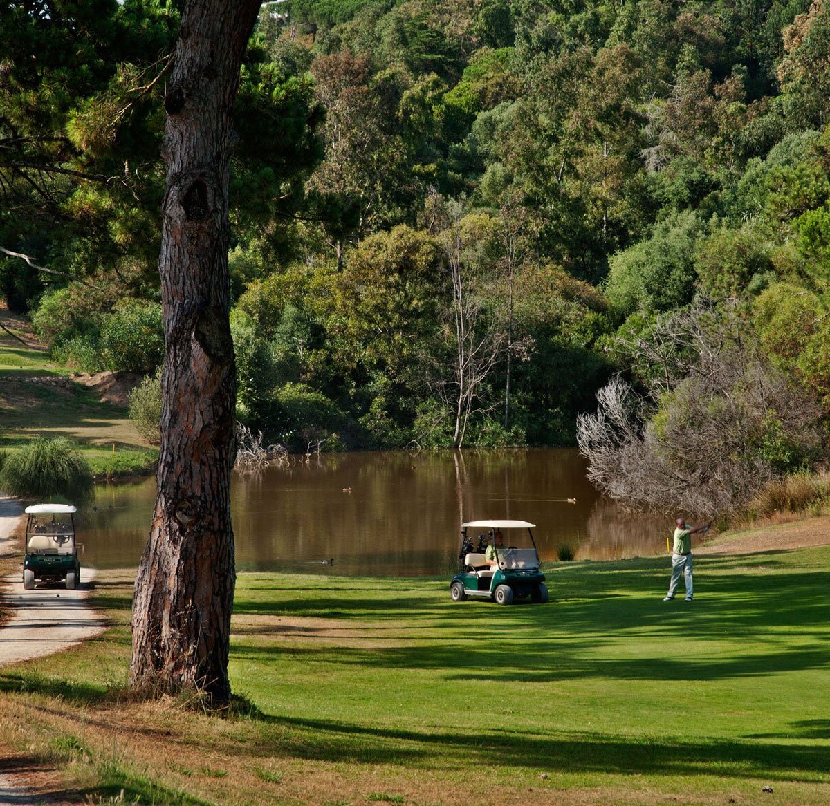 Melhores Jogadores de Golfe da Atualidade - Parte 1!