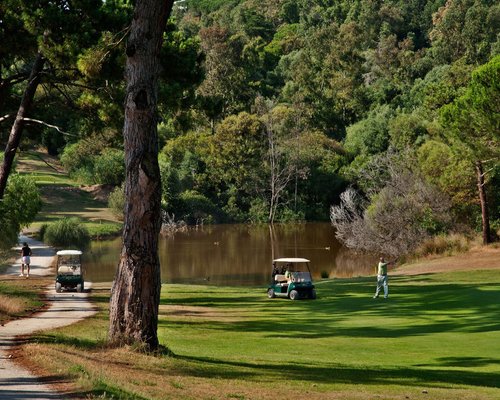 Club Car  Os melhores veículos do mundo para utilização pessoal, comercial  e no golfe