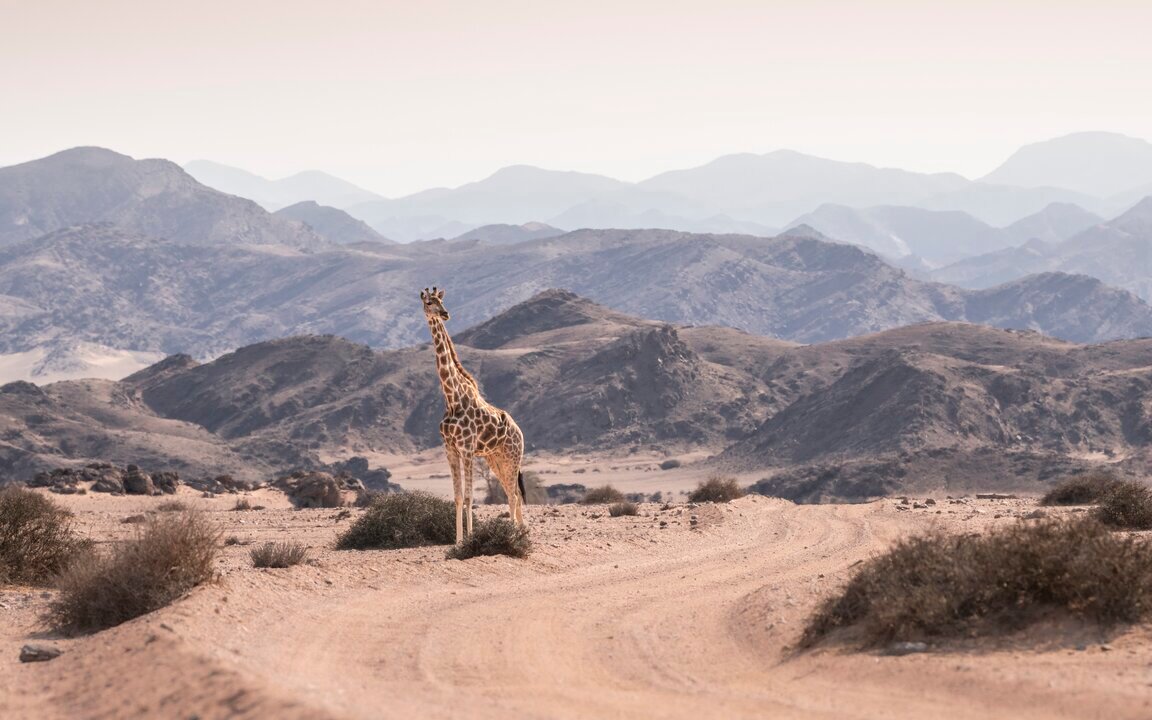 WILDERNESS HOANIB SKELETON COAST CAMP - Updated 2023 Campground Reviews ...