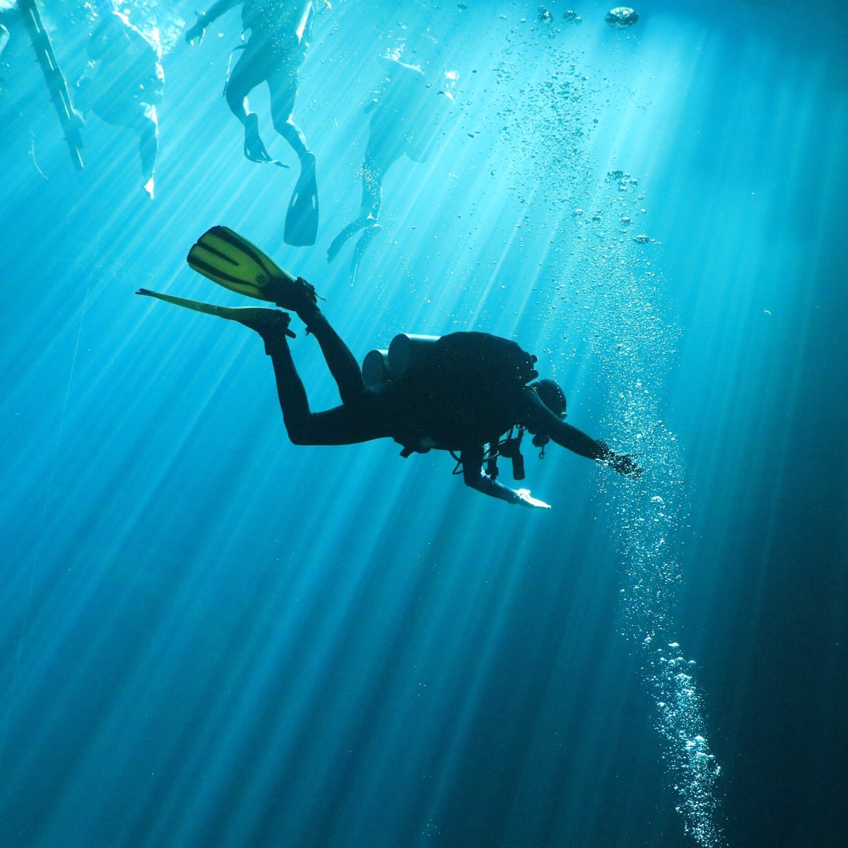 XIBALBA DIVERS ADVENTOUR - 툴룸 - XIBALBA DIVERS ADVENTOUR의 리뷰 - 트립어드바이저