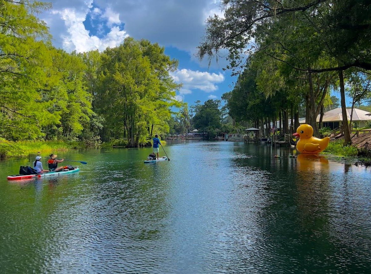 Must See Florida Paddle Tours (Orlando): Hours, Address - Tripadvisor