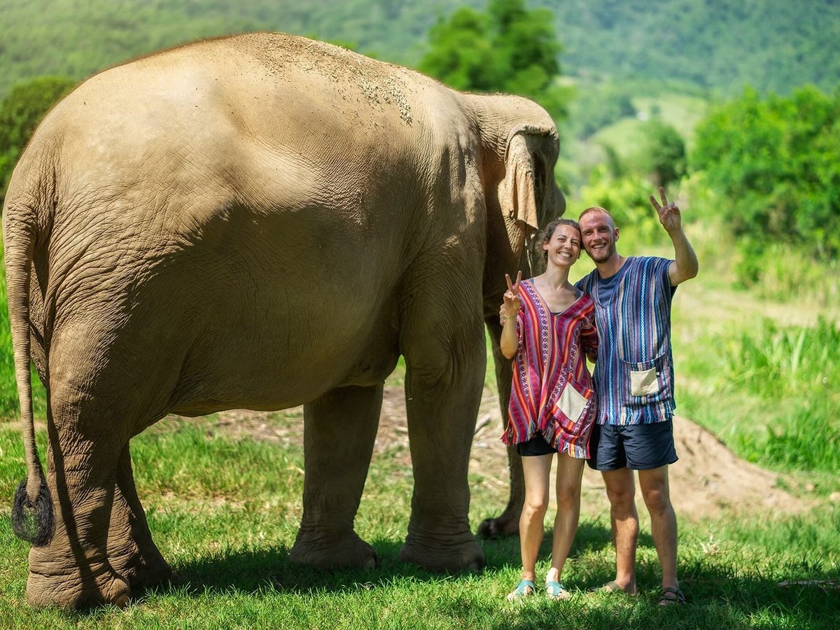 Elephant Jungle Sanctuary Chiang Mai, Чиангмай: лучшие советы перед  посещением - Tripadvisor