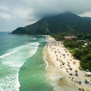 Serpentes comuns em Ubatuba - Curiosidades de Ubatuba