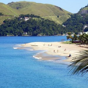 Serpentes comuns em Ubatuba - Curiosidades de Ubatuba