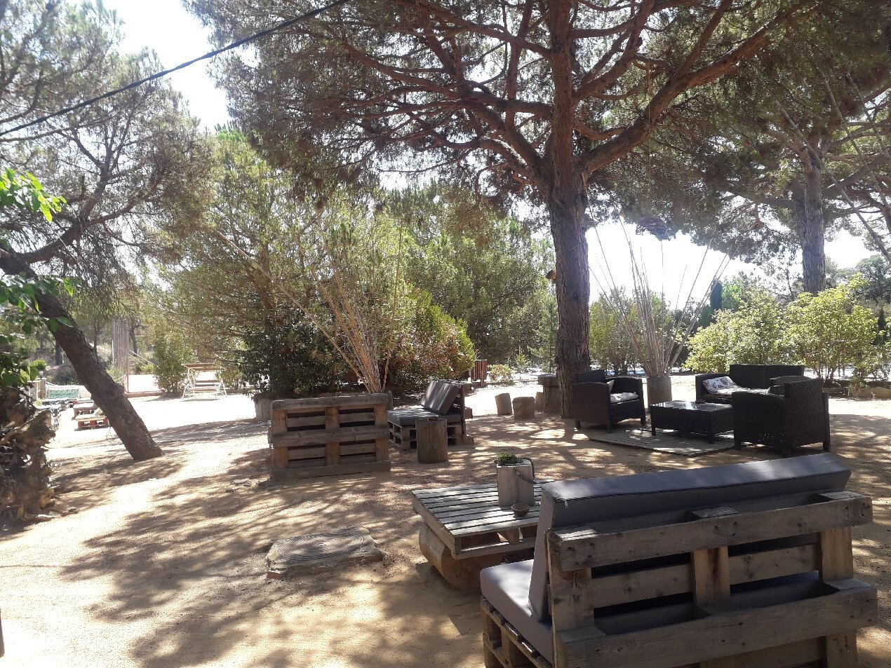 Hostal Los Pinares by null