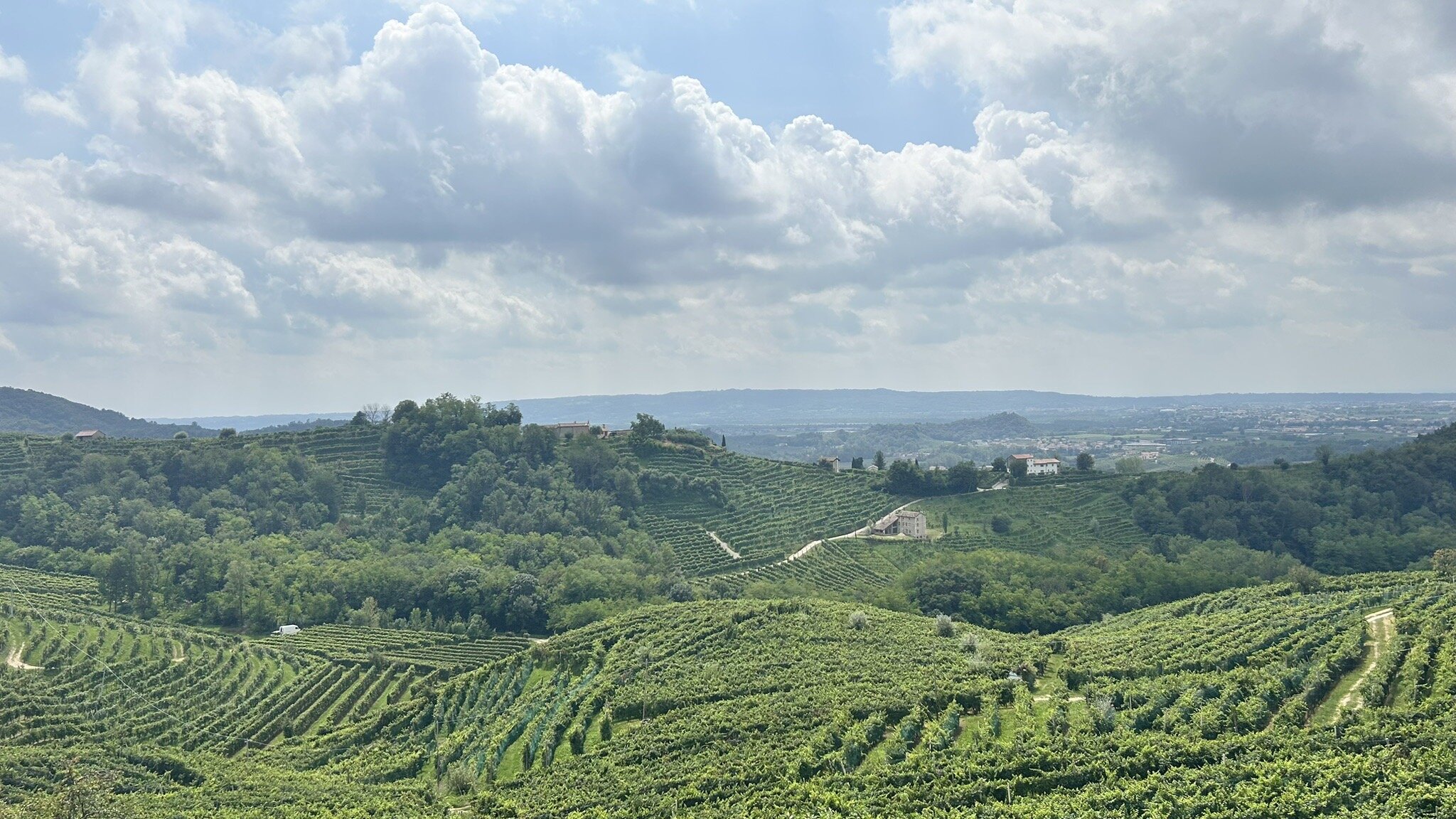 AGRITURISMO DUE CARPINI - Bewertungen, Fotos & Preisvergleich ...