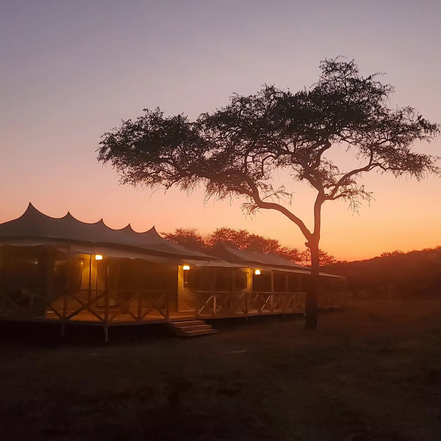 SIGNATURE SERENGETI LUXURY TENTED SAFARI CAMP: Bewertungen & Fotos ...