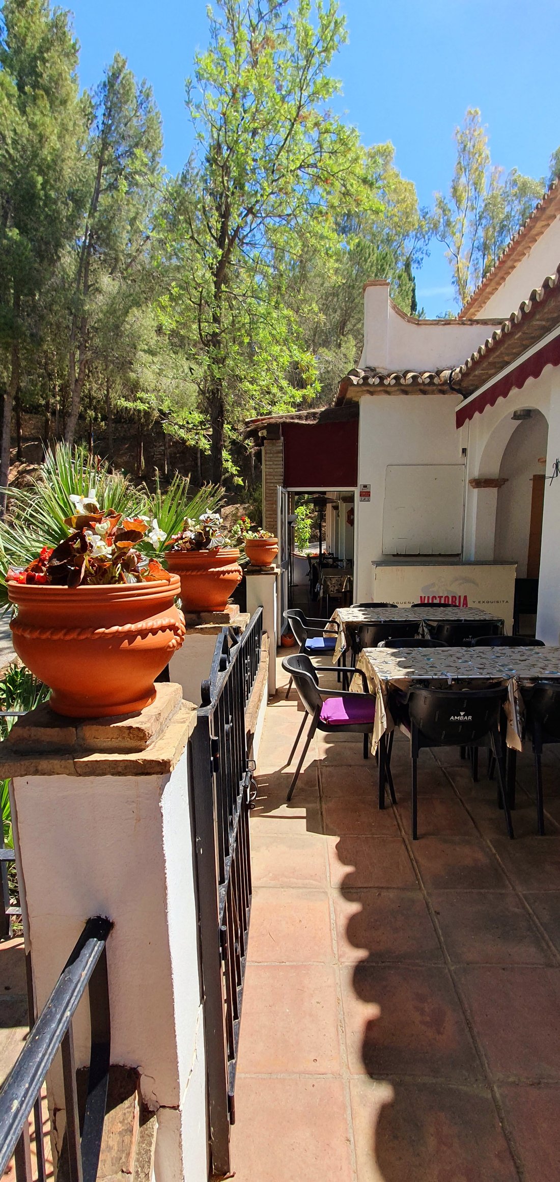 CAROB BAR, Mijas Pueblo Updated 2024 Restaurant Reviews, Menu