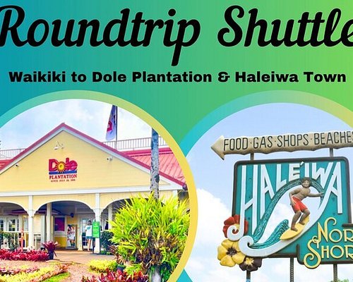 tour bus honolulu hawaii