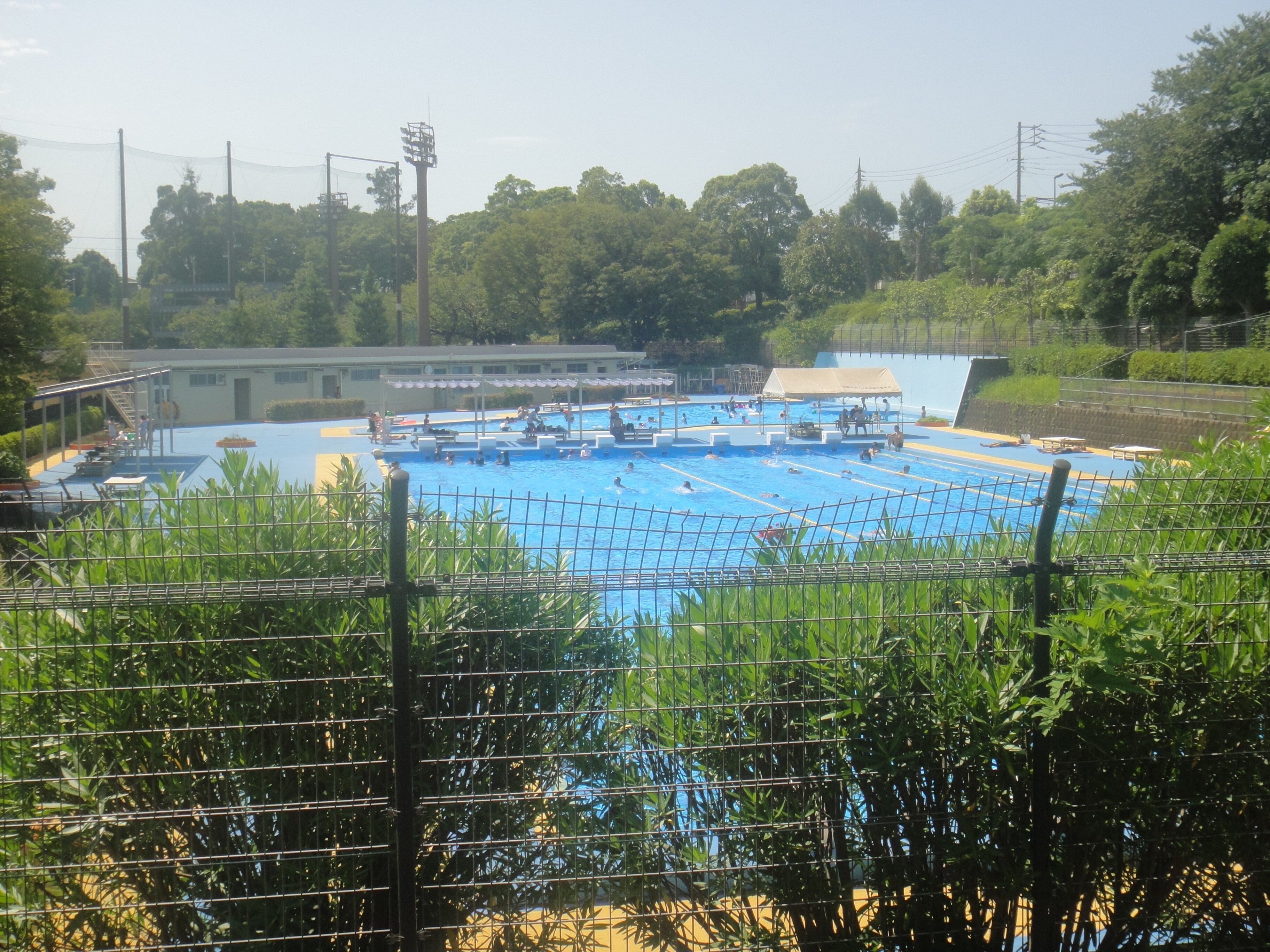 松戸 運動 公園 プール トップ 帽子