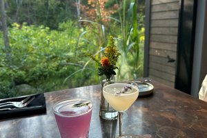 Drinks