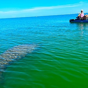 15 Places With The Clearest Water In Florida (Beaches, Springs