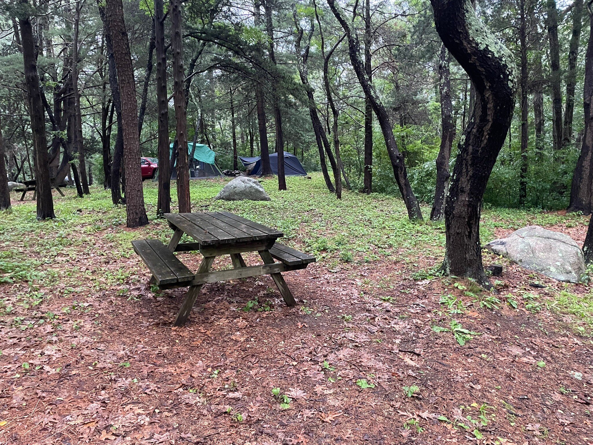 CAPE ANN CAMP SITE - Updated 2023 Prices & Campground Reviews ...