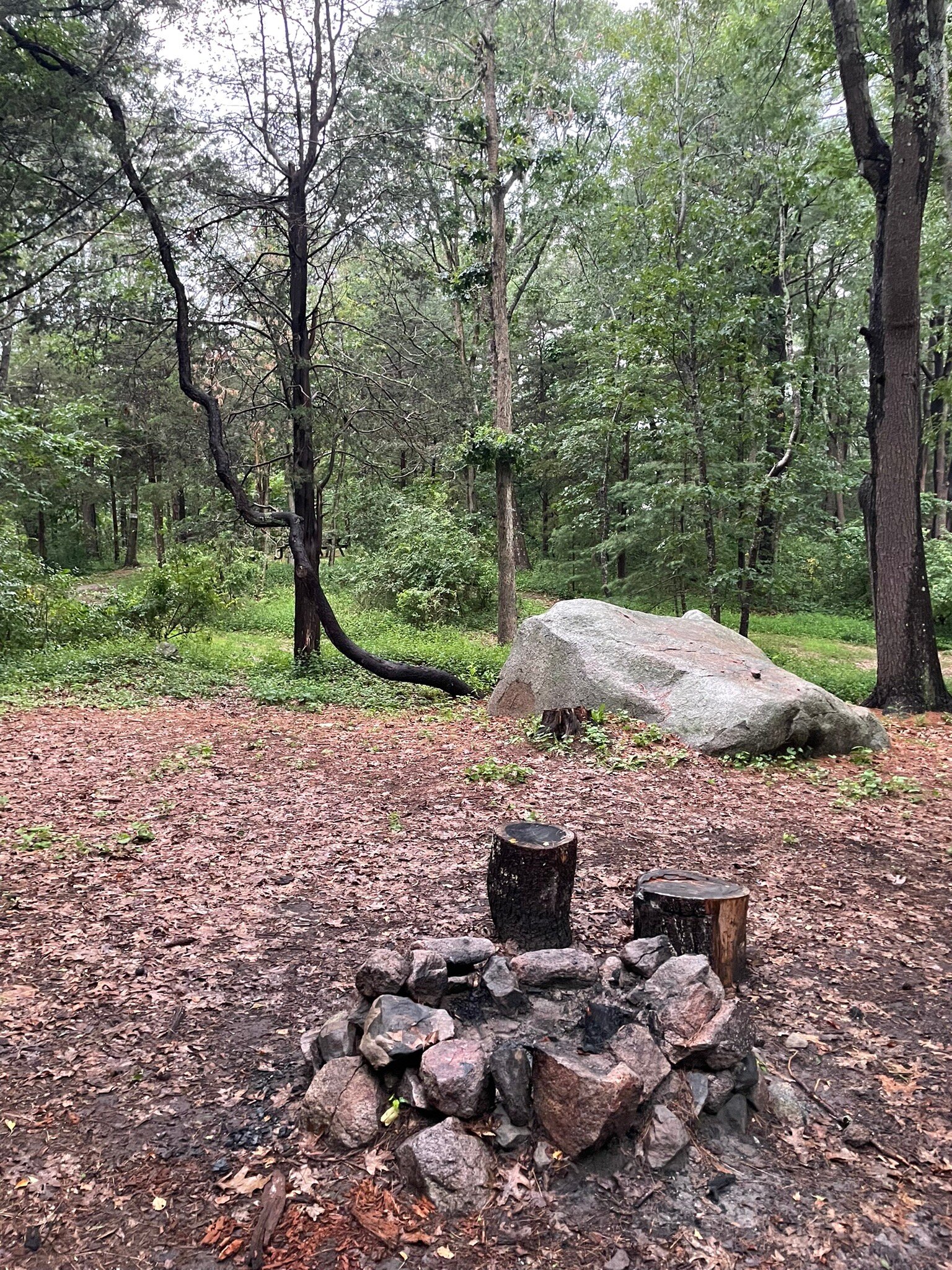 Cape Ann Camp Site (Gloucester, MA) - Tarifs 2023