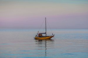 حمام السباحة والشاطئ