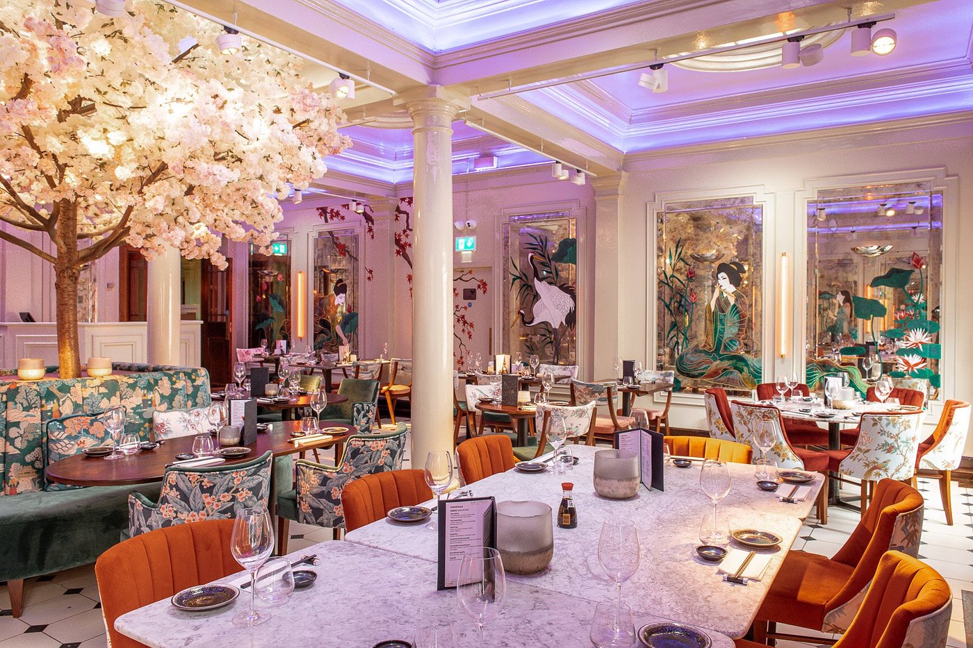 KIBOU JAPANESE KITCHEN & BAR - CAMBRIDGE - Updated 2024 Restaurant
