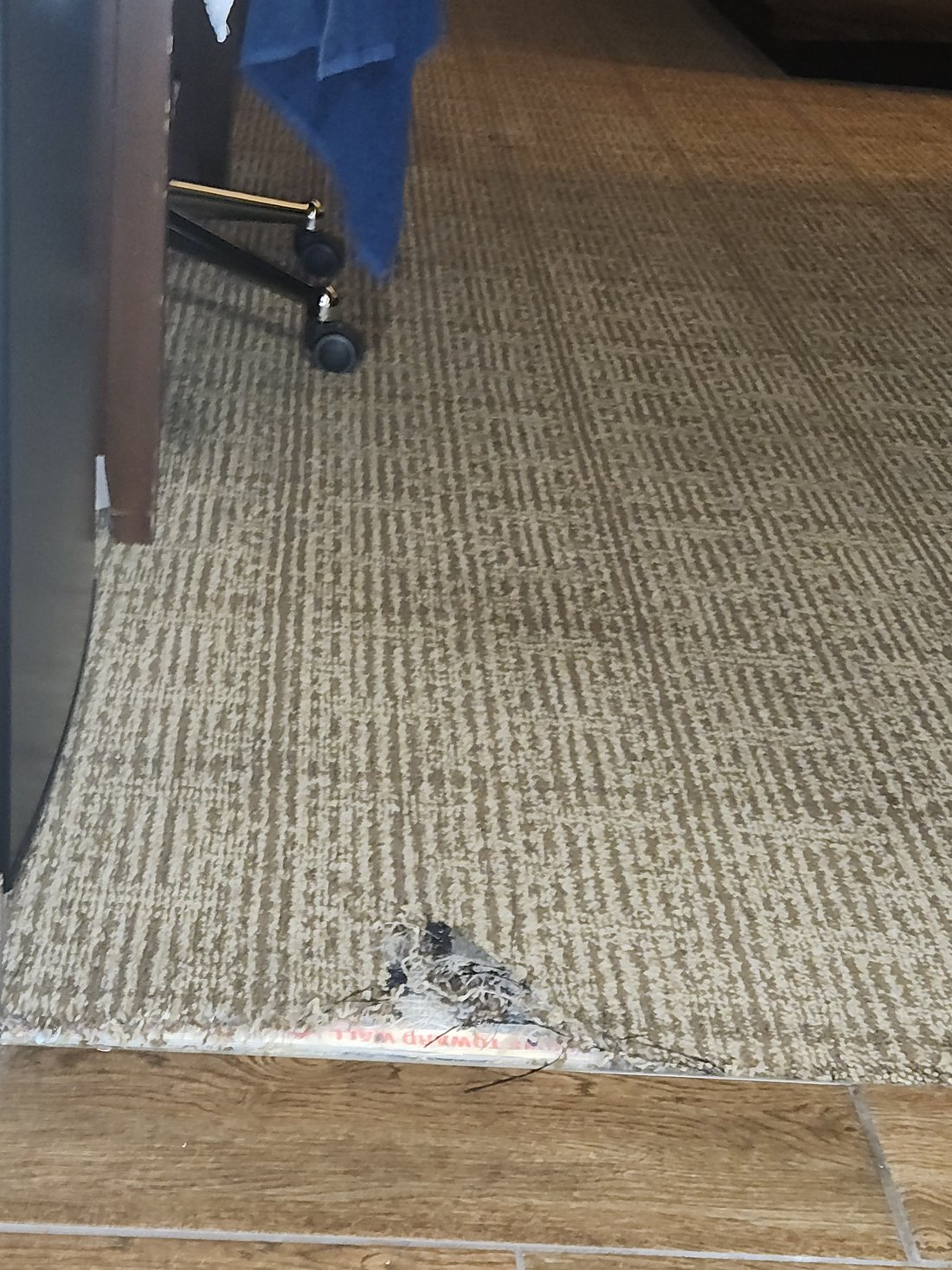 Comfort suites east lincoln hotel reviews photos rate comparison
