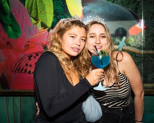 Best Nightlife in Amsterdam Guide - The Jungle Amsterdam