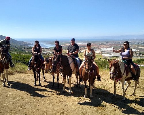 ensenada tourist guide