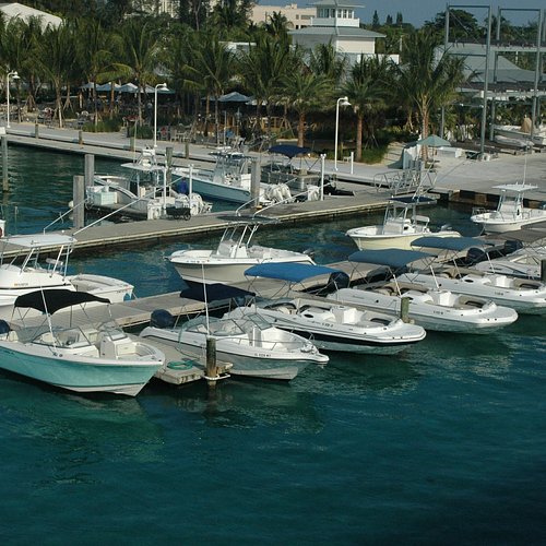 THE 10 BEST The Palm Beaches Boat Rentals (Updated 2024)