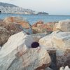 Dimitra S