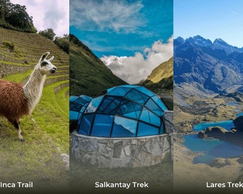 Salkantay Inca Trail Condor Overflight -Tierras Vivas Travel