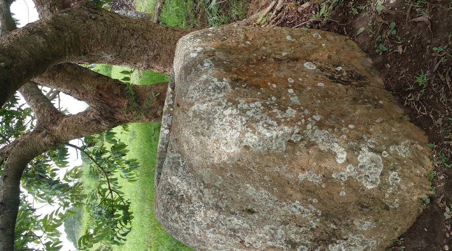 Welcome to  plain of jars