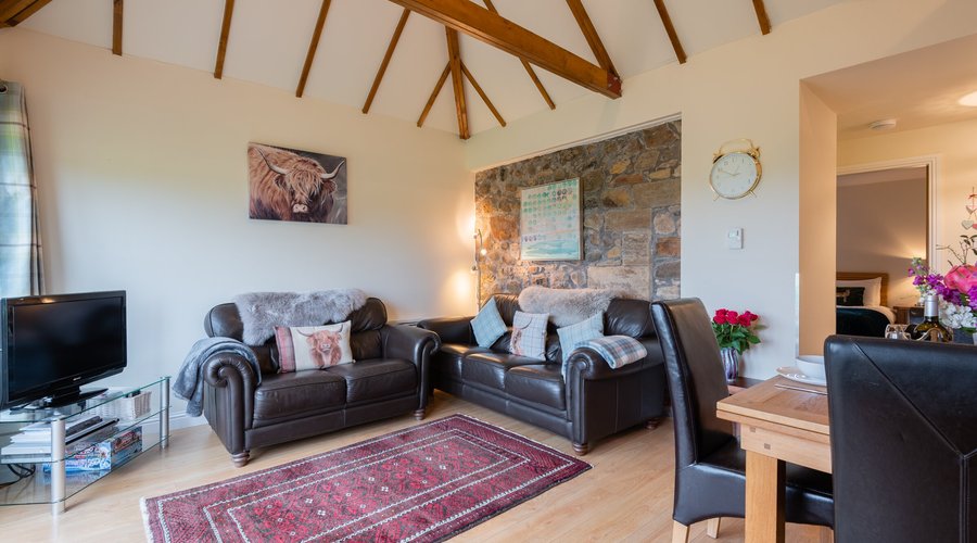 Open plan living room and dining area