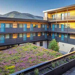 Peek-a-boo views of Mt Sentinel from The Wren's courtyard patio