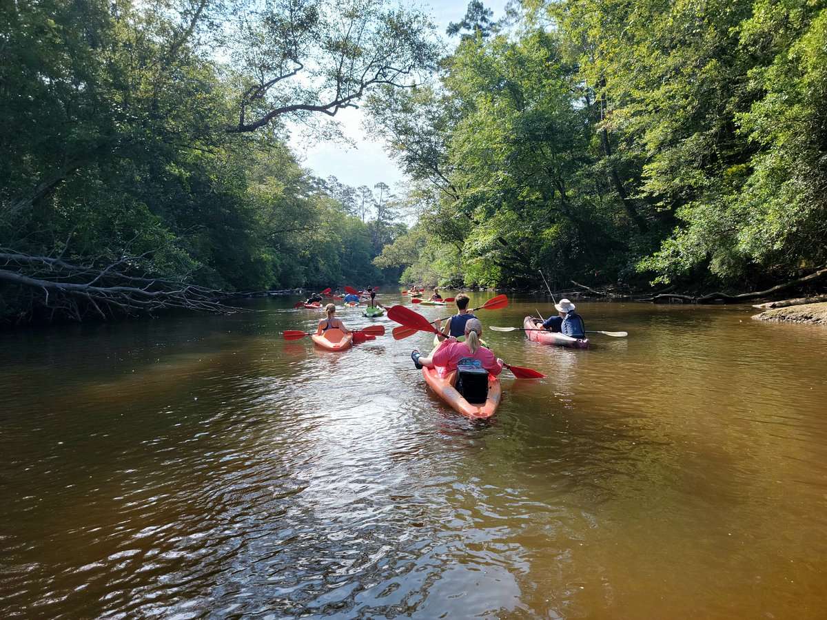 Mississippi fisherman finds 300-year-old canoe in creek