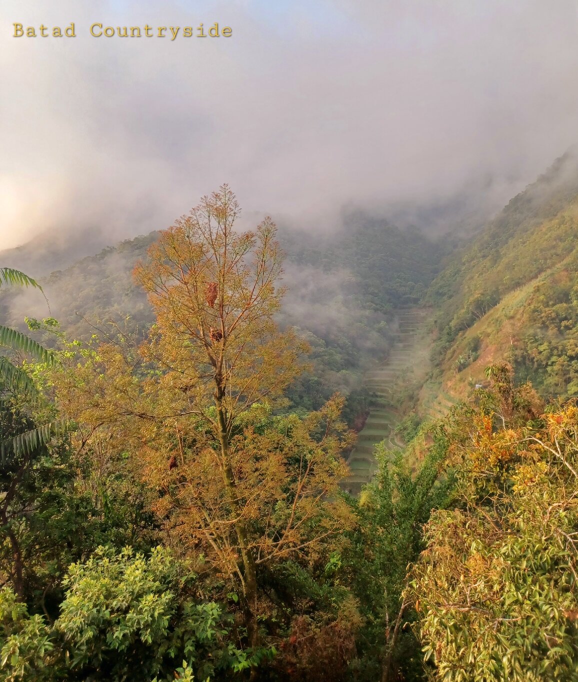 BATAD COUNTRYSIDE: Bewertungen & Fotos (Banaue, Philippinen) - Tripadvisor