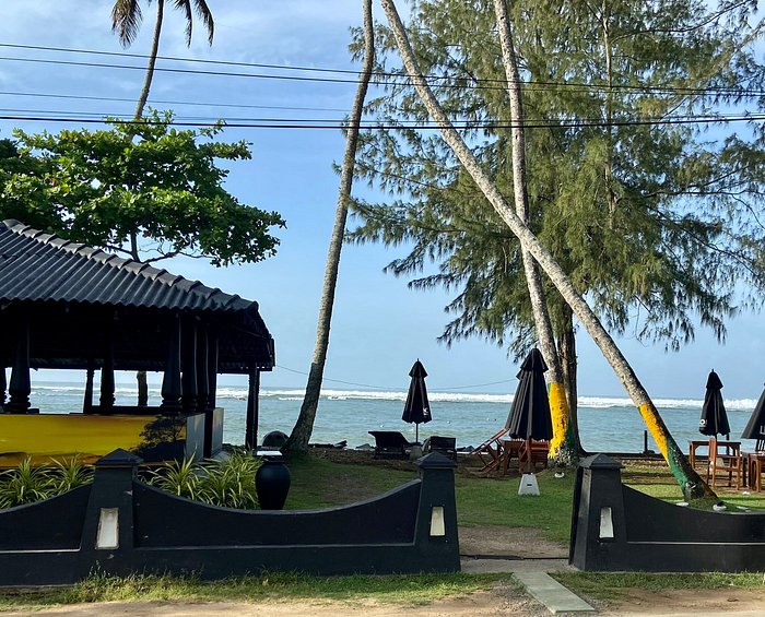 Polhena reef garden 3