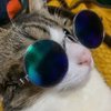 うさまる