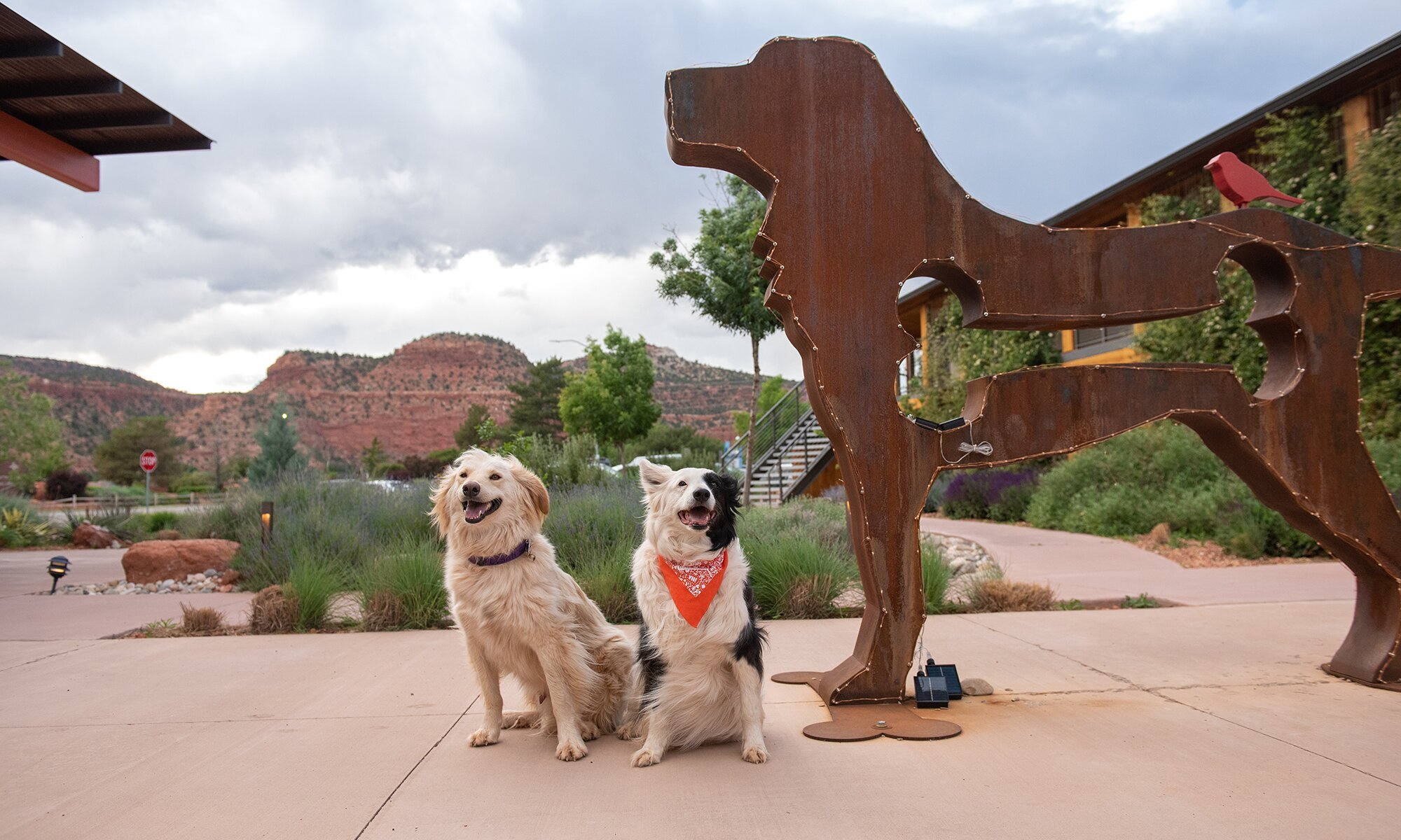 Best Friends Roadhouse and Mercantile by null