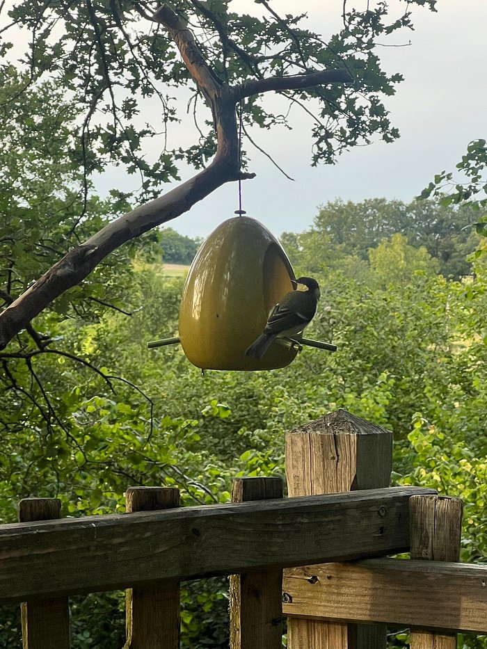 Panier repas du soir (tarif /personne) | natura-tazenat