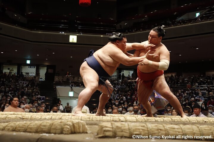 Amazing Facts to Know About Sumo Wrestling - Things To Do in Tokyo