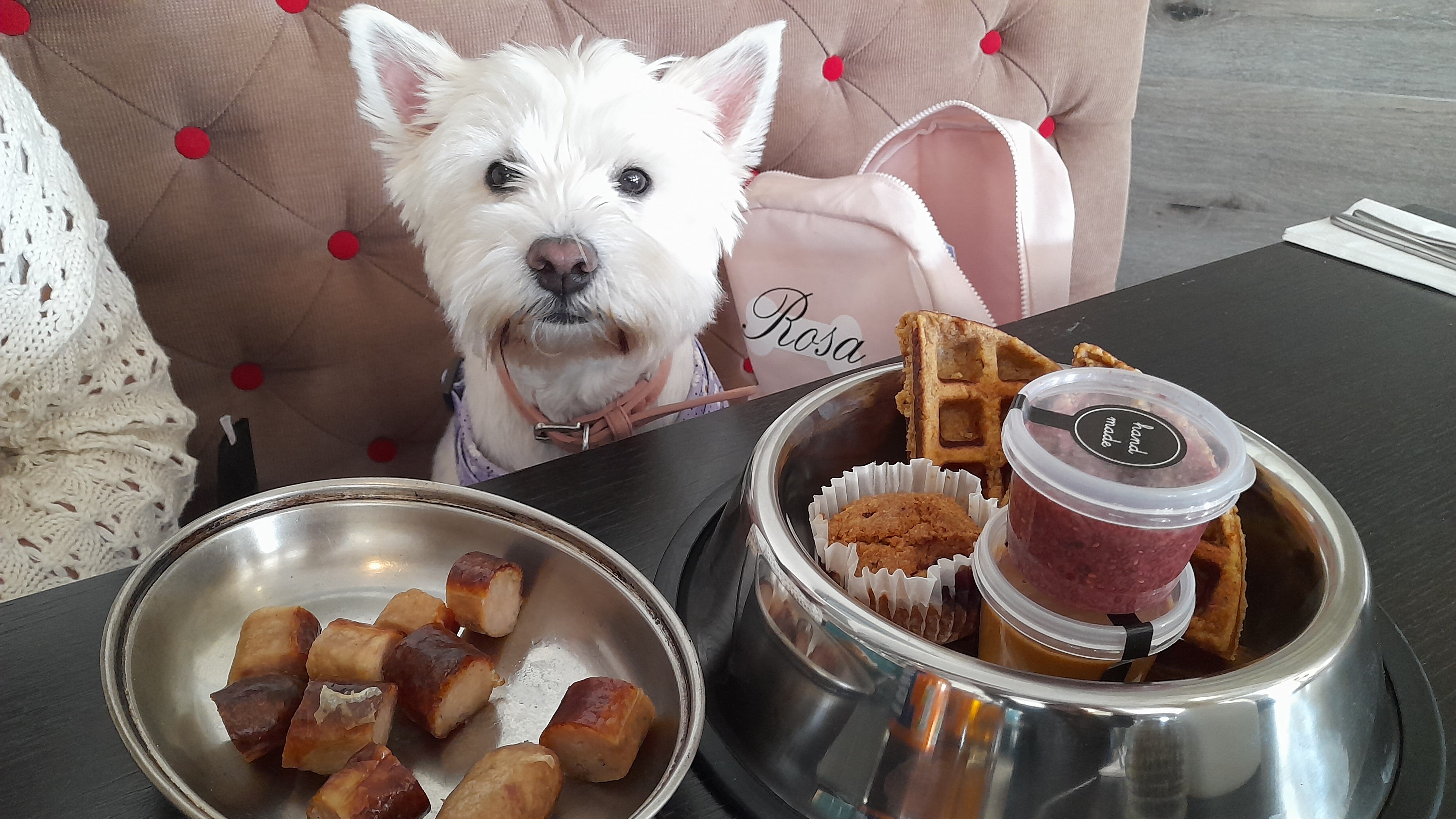 OLIVIAS BAR AND KITCHEN Kilmarnock Updated 2024 Restaurant Reviews   Doggy Breakfast 