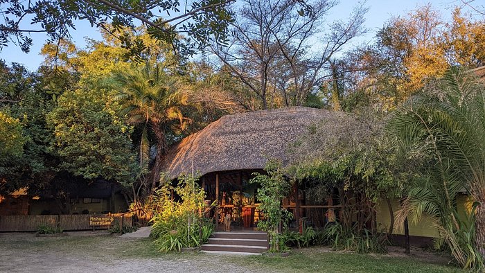 mahangu safari lodge reviews