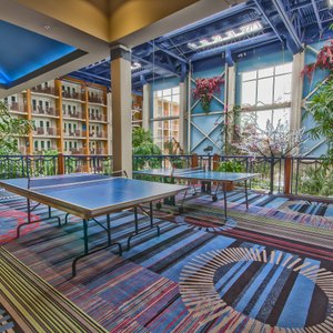 Indoor Garden Area