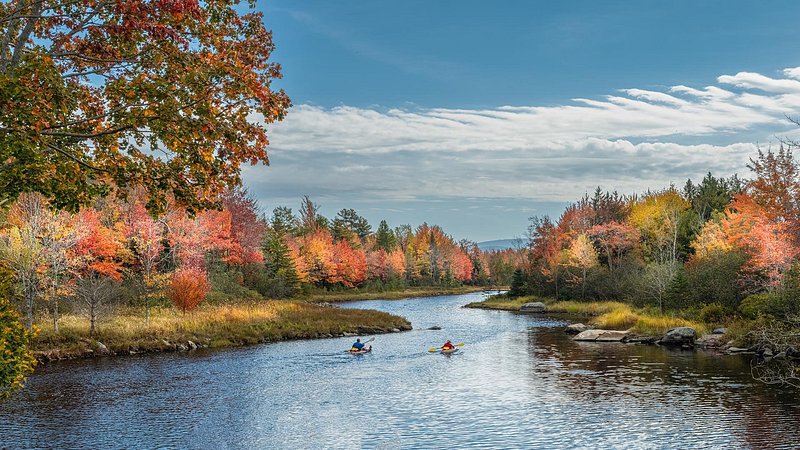 Two people kayaking in river during autumn in Acadia National Park, Maine 