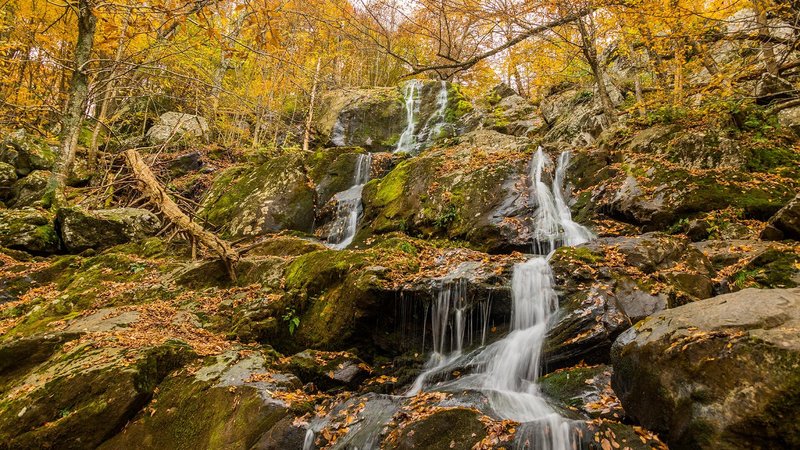 Fall colors at Dark Hollow Falls in the Shenandoah National Park, Virginia 